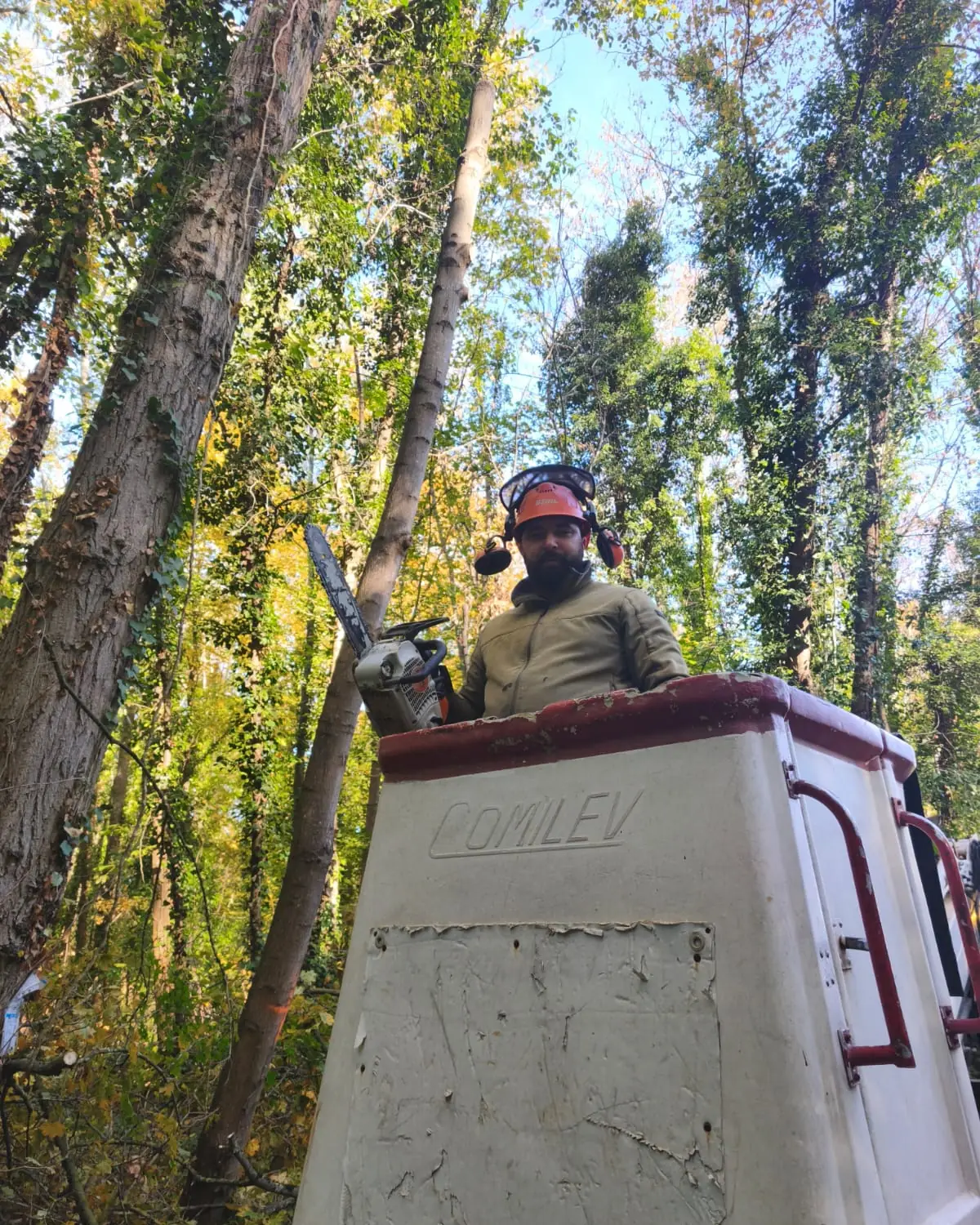 Un élagueur dans la nacelle d'un camion, tronçonneuse en main, au milieu de grands arbres.