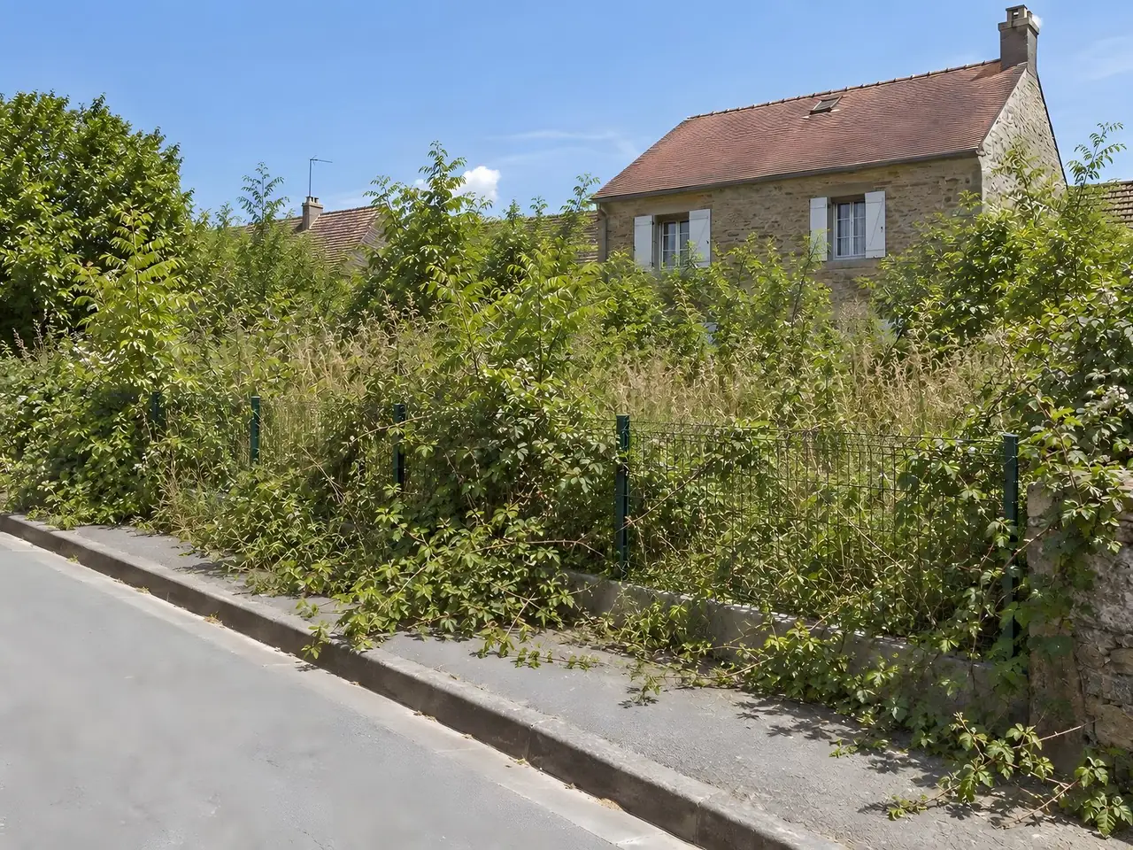 Herbes hautes, ronces et jeunes arbres qui débordent d'un grillage vert sur le trottoir, maison en pierre à demi cachée