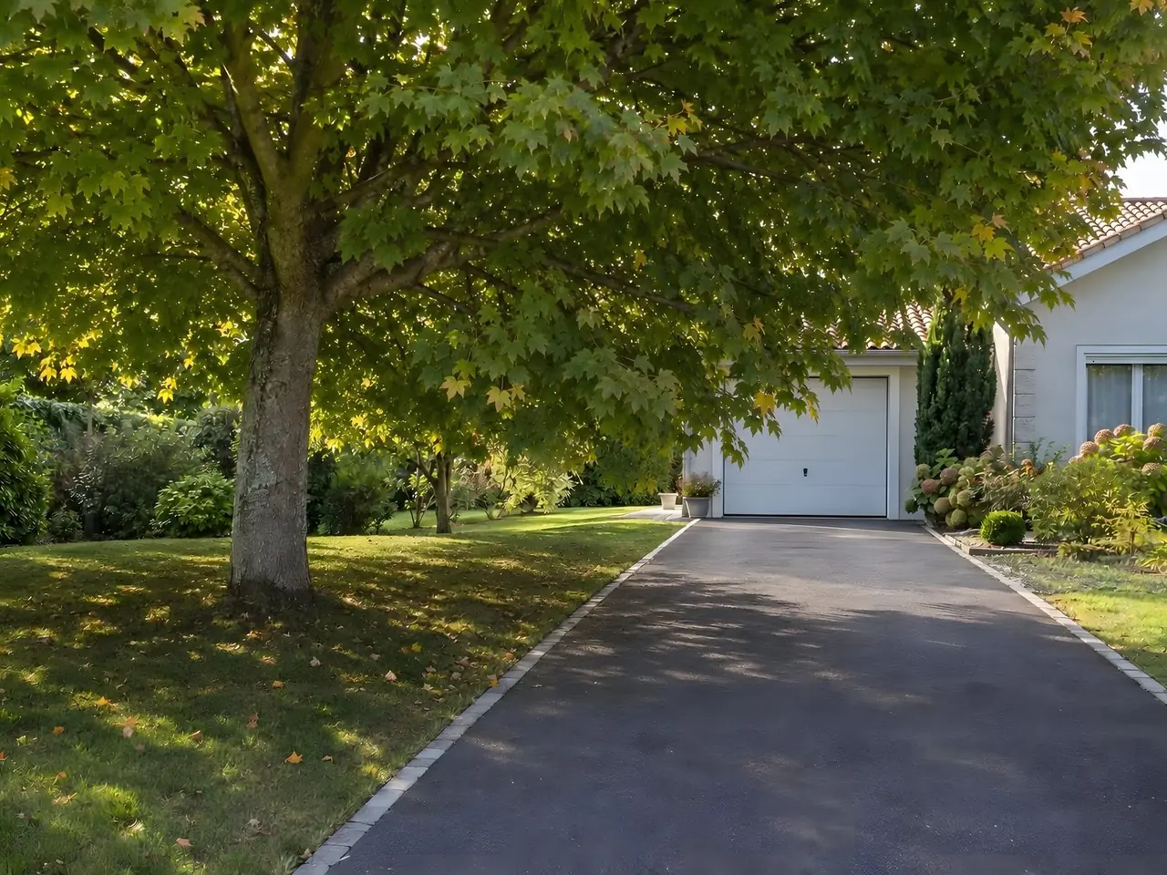 Allée en enrobé menant à un garage blanc, branches basses d'un érable qui retombent au-dessus et cachent son toit
