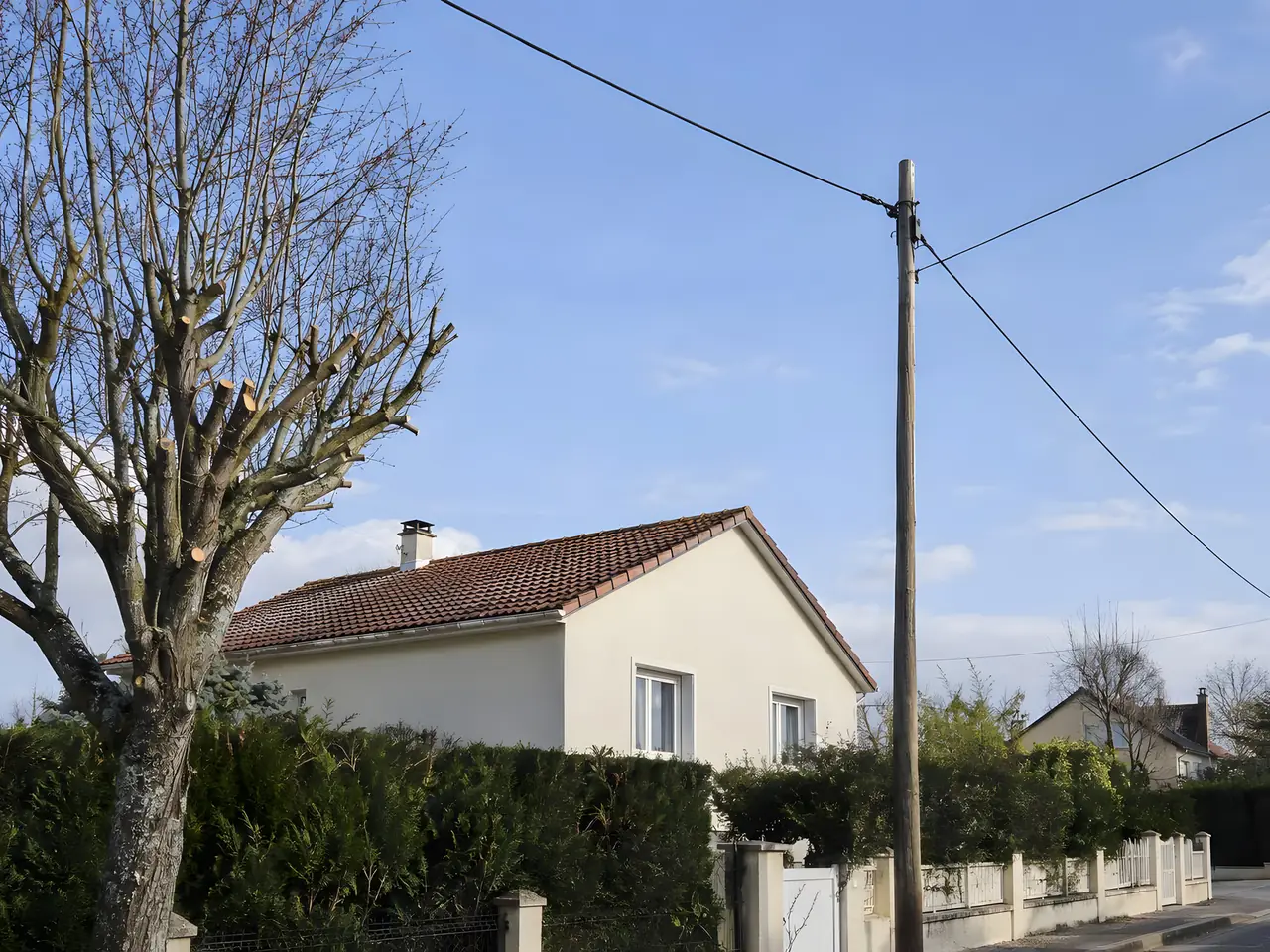 Arbre aux branches fraîchement raccourcies devant une maison, juste à côté d'un poteau en bois et de ses fils aériens
